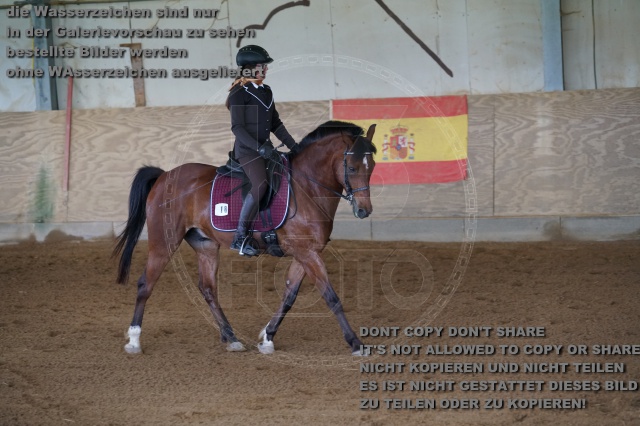 s_K3F03221.JPG